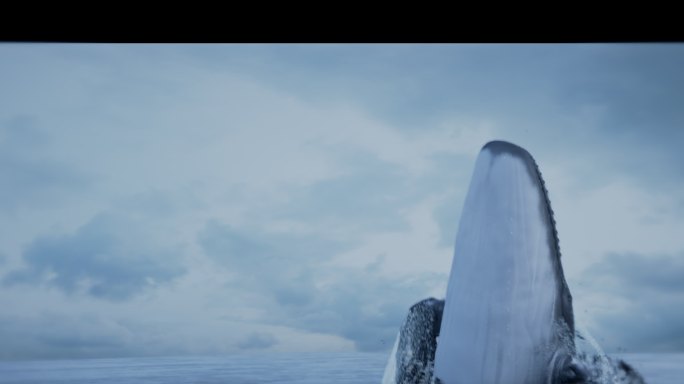 鲸鱼出水 三维 裸眼 3D 蓝鲸 水