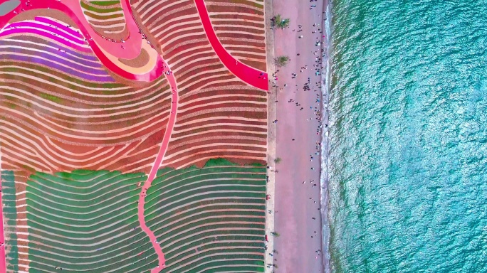 玉溪澄江广龙抚海湾湿地公园