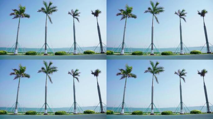 厦门城市风光之滨海大道风光