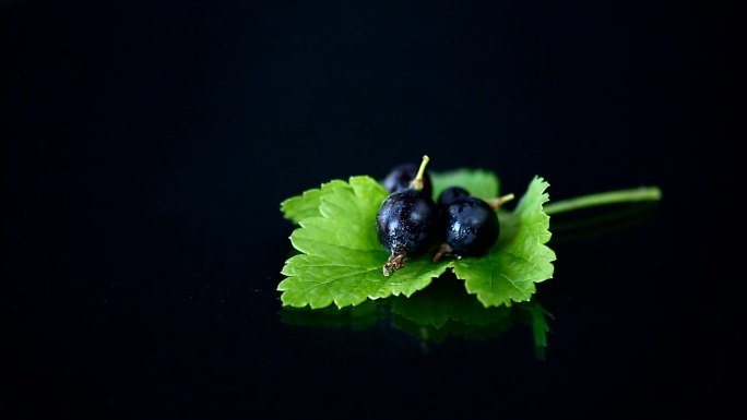 成熟的黑加仑子葡萄酒视频素材黑葡萄
