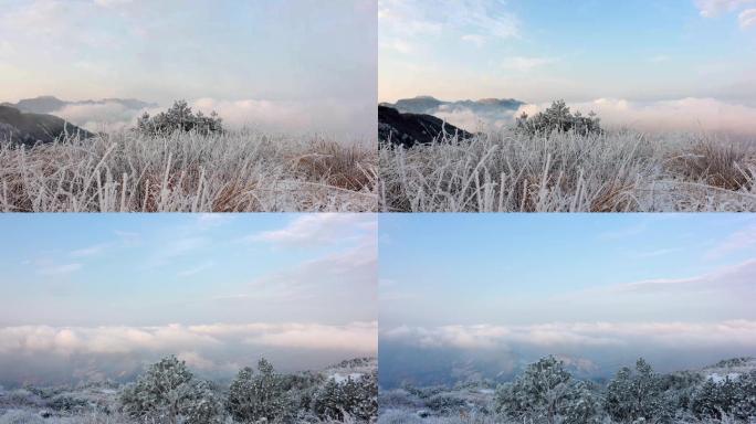 雾淞 雪景 云海延时