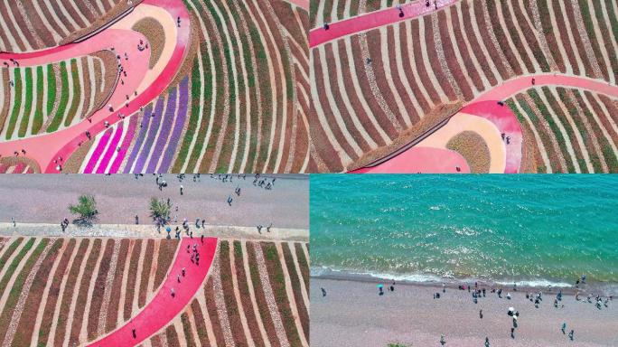 玉溪澄江广龙抚海湾湿地公园