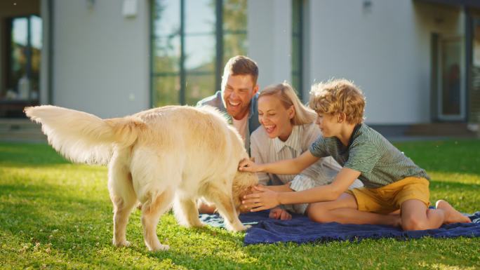 快乐的金毛猎犬与大家庭