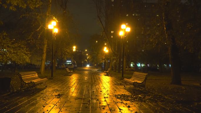 秋城公园夜游路灯长椅夜景
