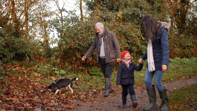 多代家庭带着狗在秋天散步