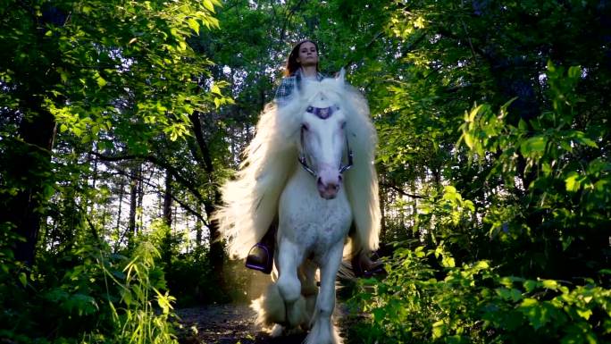 一个小女孩骑在森林里一匹美丽的白马上