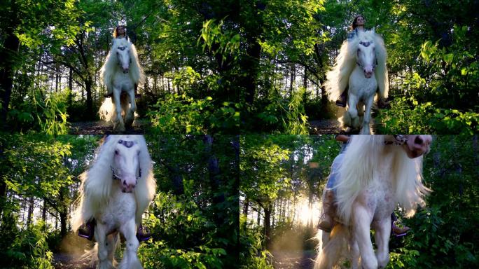 一个小女孩骑在森林里一匹美丽的白马上