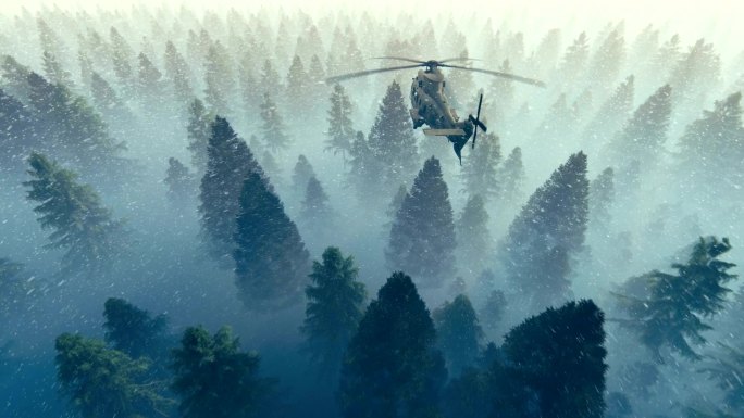 黑鹰直升机在温特松林上空飞行