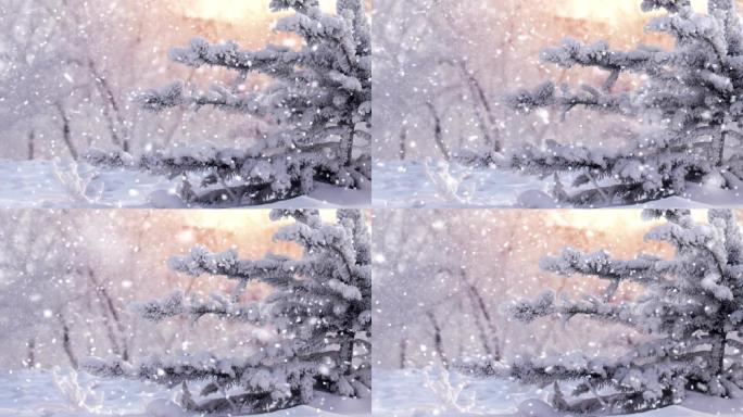 冻树和大雪背景雪景冬季寒冷