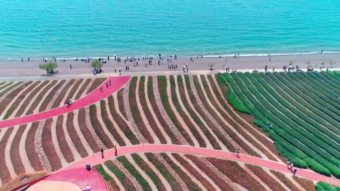 玉溪澄江广龙抚海湾湿地公园