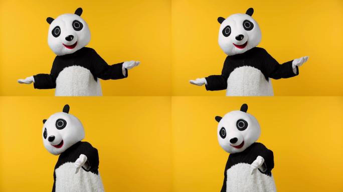 穿着熊猫熊服装的人在黄色上展示拇指朝下
