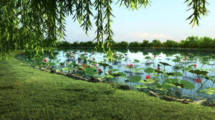 湿地 公园 规划 春天 秋天 夏天 河流