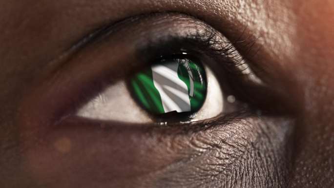 眼中的尼日利亚国旗