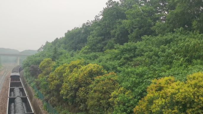 下雨天火车穿过森林视频