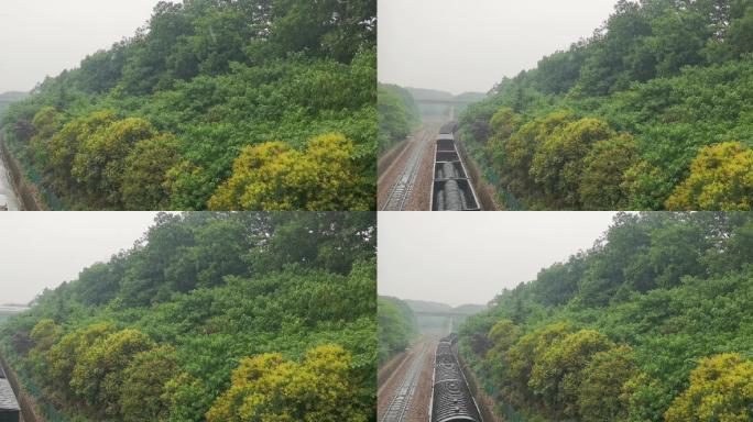 下雨天火车穿过森林视频
