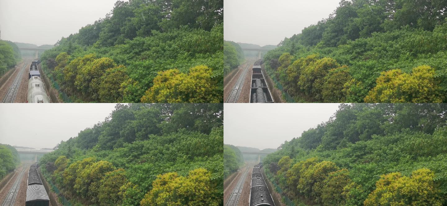 下雨天火车穿过森林视频