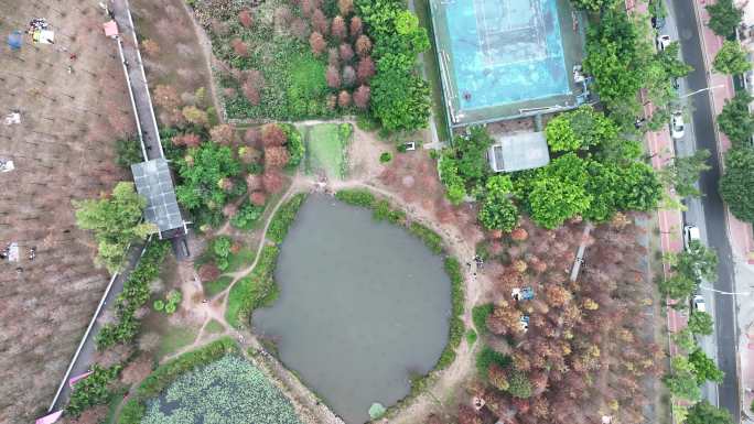 航拍5k广州大观湿地公园全貌（御3）