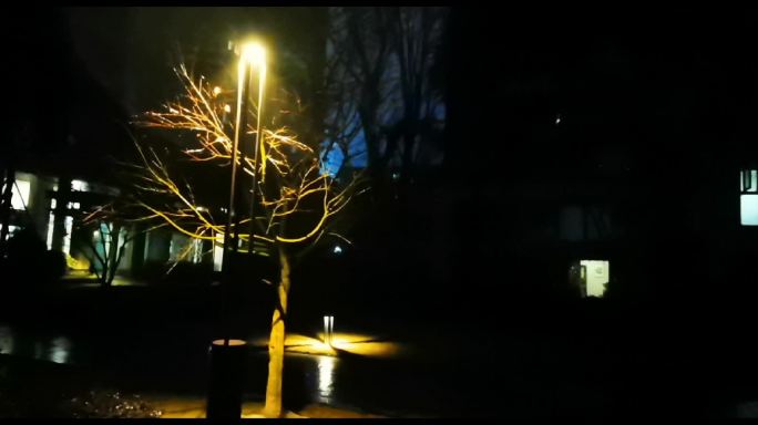 城市飘雨唯美夜景