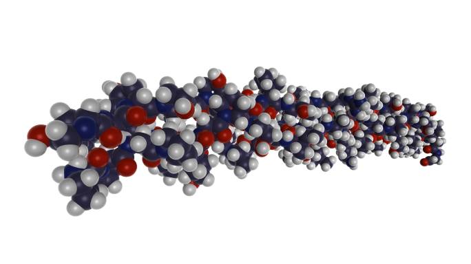 胶原纤维生物分子