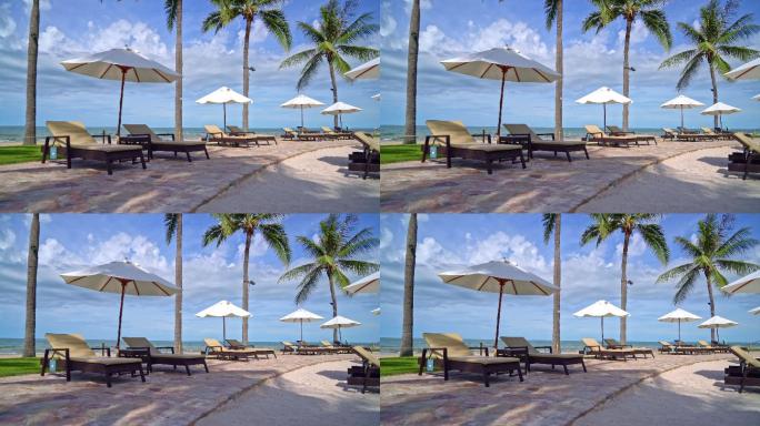 伞和沙滩椅，椰子树和海滩