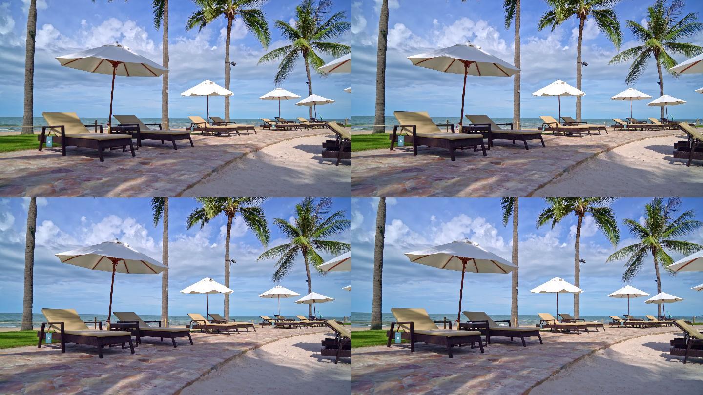伞和沙滩椅，椰子树和海滩