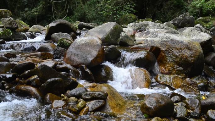 岩石上的流水户外美景小溪流水自然生态