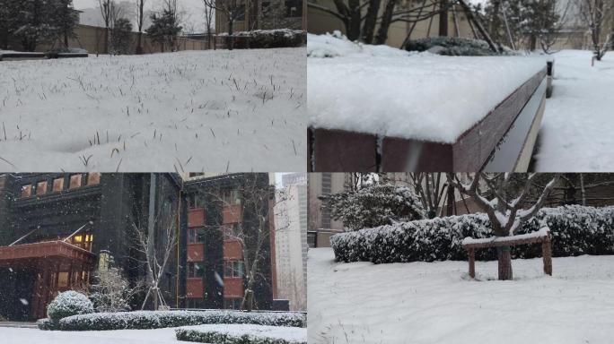 冬季下雪场景实拍