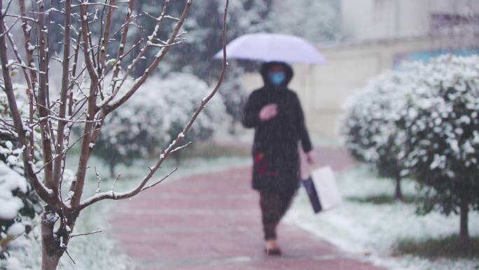 树枝积雪雪中行人