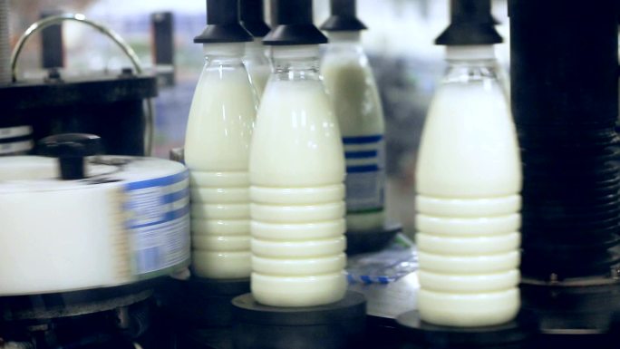 牛奶加工厂鲜奶流水线旋转