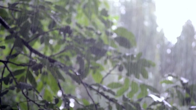 倾盆大雨在白天骤降