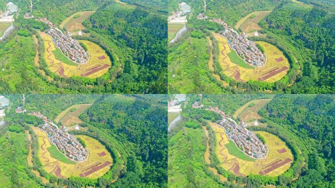 宜良县耿家营河湾村建国70周年彩色稻田