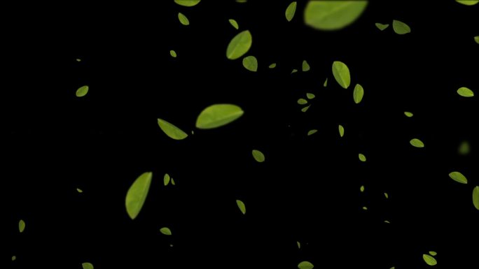 绿树叶子粒子动画宣传片转场视频素材特效元