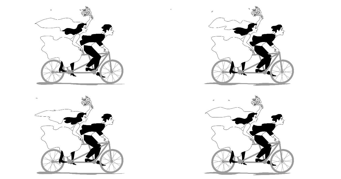 新娘和新郎骑双人自行车的动画