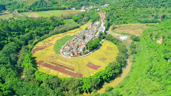 宜良县耿家营河湾村建国70周年彩色稻田