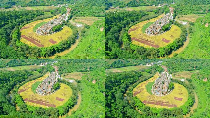 宜良县耿家营河湾村建国70周年彩色稻田