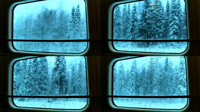 火车穿过一片冬天的森林