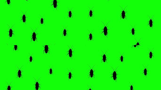 蟑螂跑上来了绿屏绿布绿幕抠图后期抠像