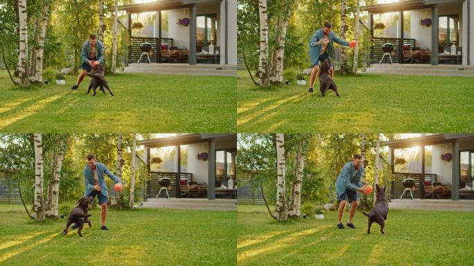 帅哥在后院的草坪上和狗玩接球游戏。