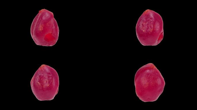 蔓越莓水果-蔓越莓果干-360度旋转镜头