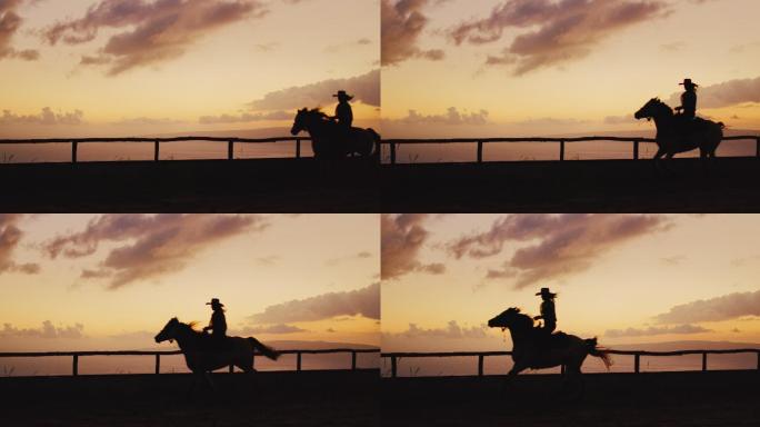 日落时骑马的女子剪影