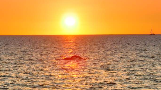海上的夕阳海上日出唯美落日海边夕阳