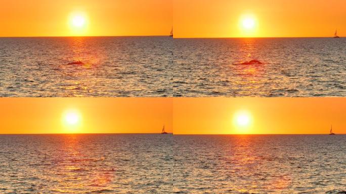 海上的夕阳海上日出唯美落日海边夕阳