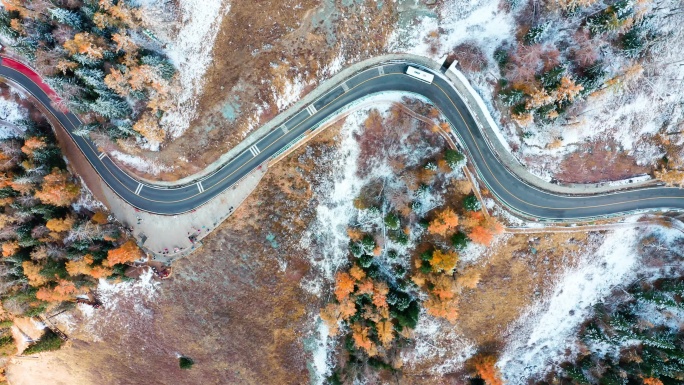 航拍秋天喀纳斯雪山秋色盘山路行驶的汽车