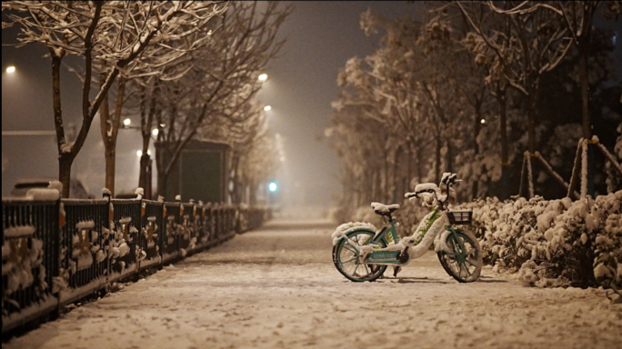 飘落雪景 雪夜 下雪 路灯 城市夜景