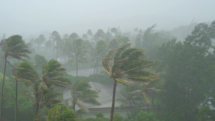 暴风雨