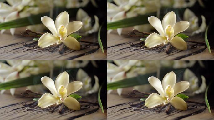 香草花与香草枝一起，散发出一种香味