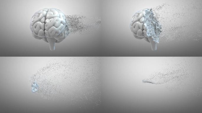 人脑的完全解体三维3d无脑模型智慧消失