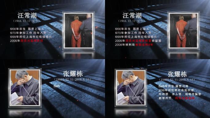 嫌疑人犯罪分子介绍