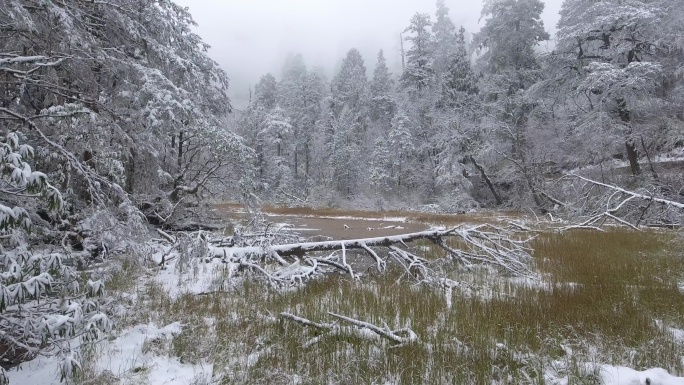 海螺沟雪景