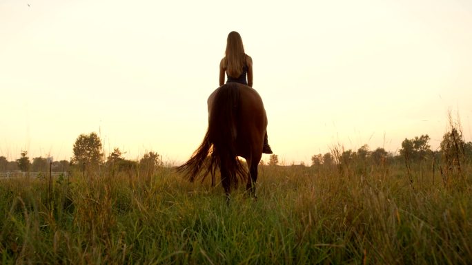 欢快的年轻女孩在草原上骑着骏马